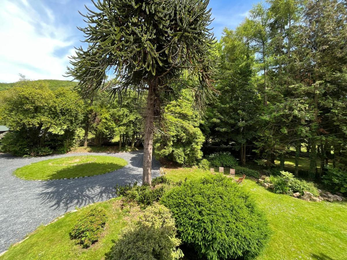 Cae Nest Hall